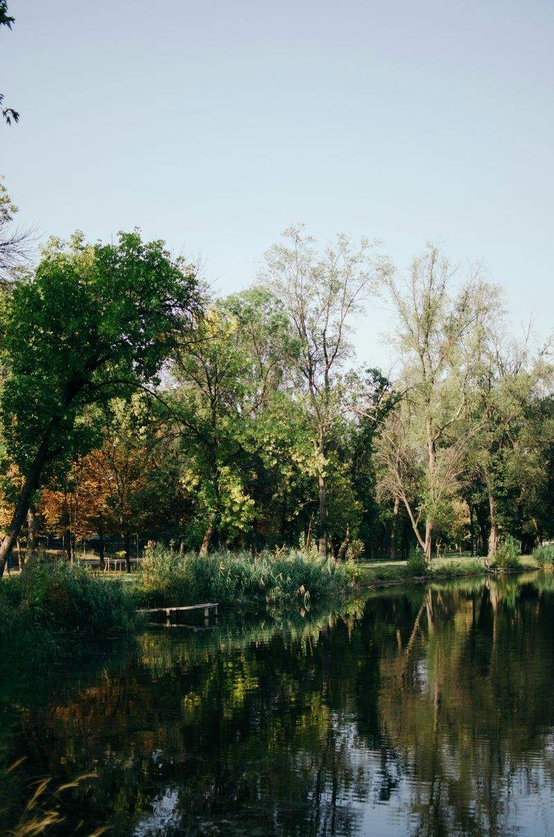 GreenScape Plantcare - Image 11